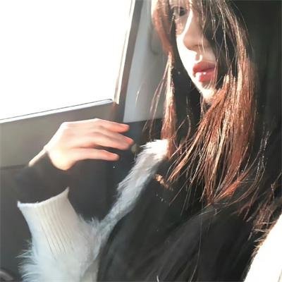 哈兰·科本的庇护所